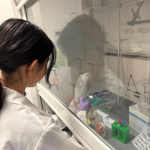 A Look Into the Lab